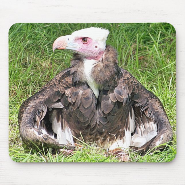 VULTURE MOUSE MAT (Front)