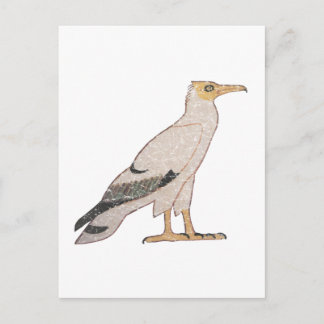 Vulture Postcard