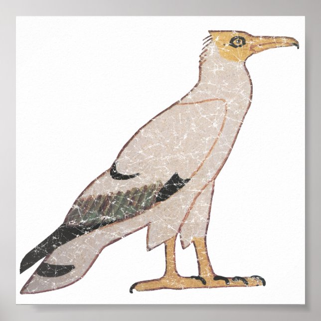 Vulture Poster (Front)