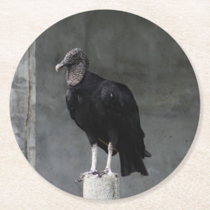 Vulture Pulp Board Coasters