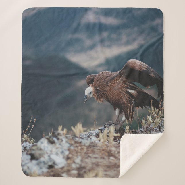 VULTURE SHERPA BLANKET (Front)