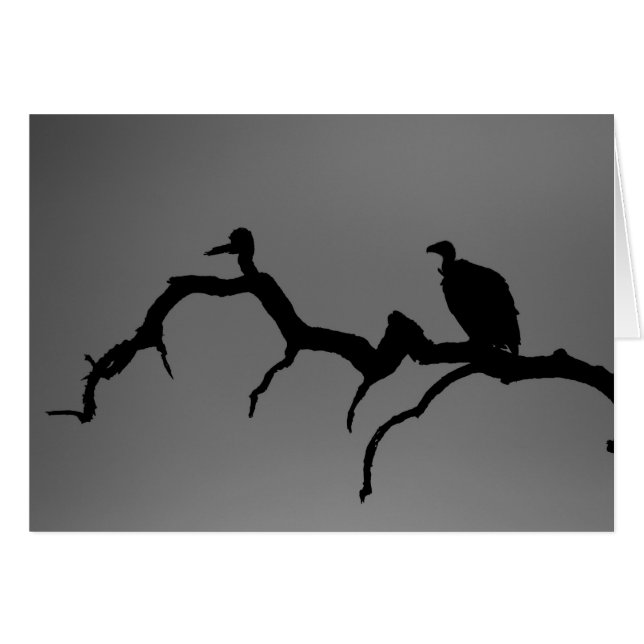 Vulture Silhouette (Front Horizontal)