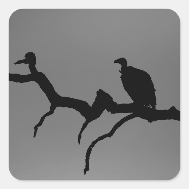 Vulture Silhouette Square Sticker (Front)