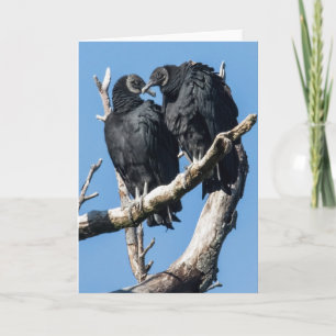 Vulture Valentine Holiday Card