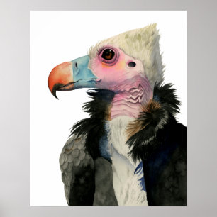 Vulture Watercolor Painting Poster