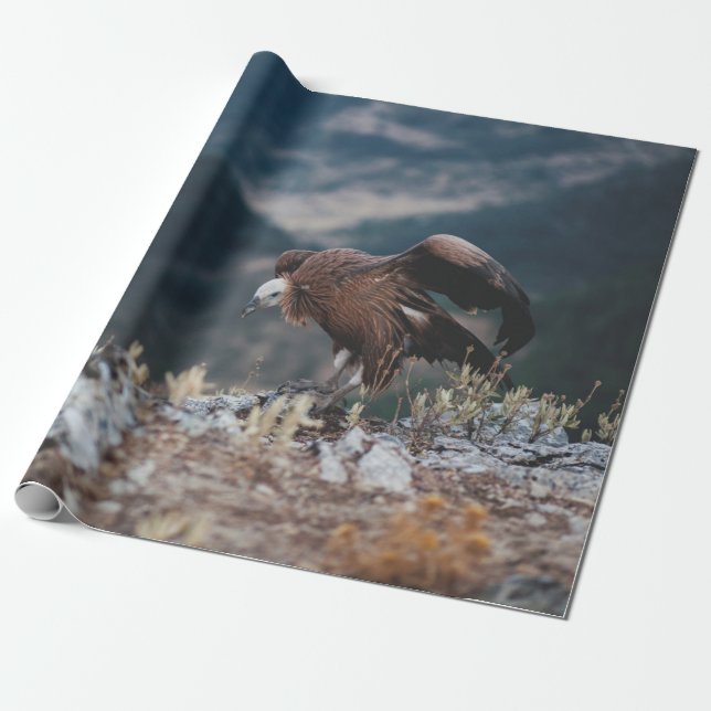 VULTURE WRAPPING PAPER (Unrolled)