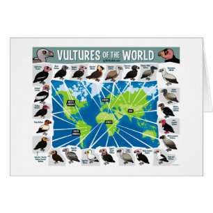 Vultures of the World Map