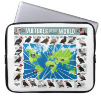 Vultures of the World Map