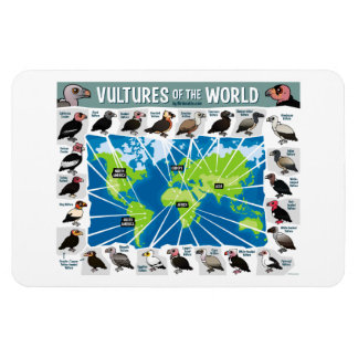 Vultures of the World Map Magnet