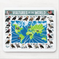 Vultures of the World Map