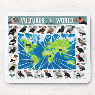 Vultures of the World Map Mouse Mat