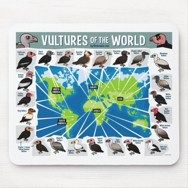 Vultures of the World Map Mouse Mat (Front)