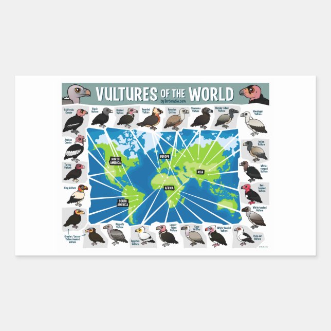 Vultures of the World Map Rectangular Sticker (Front)