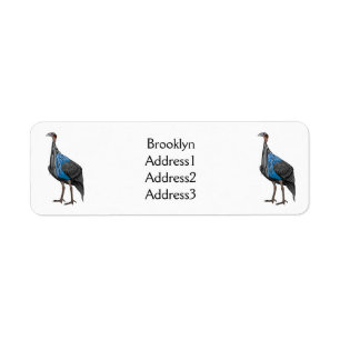 Vulturine guineafowl bird cartoon illustration