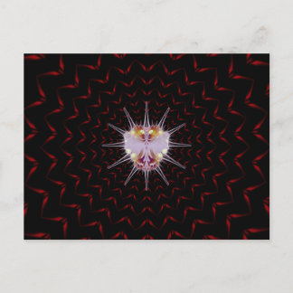 VURI Bug Postcard