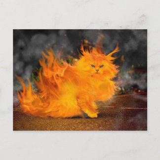 vuur kat postcard