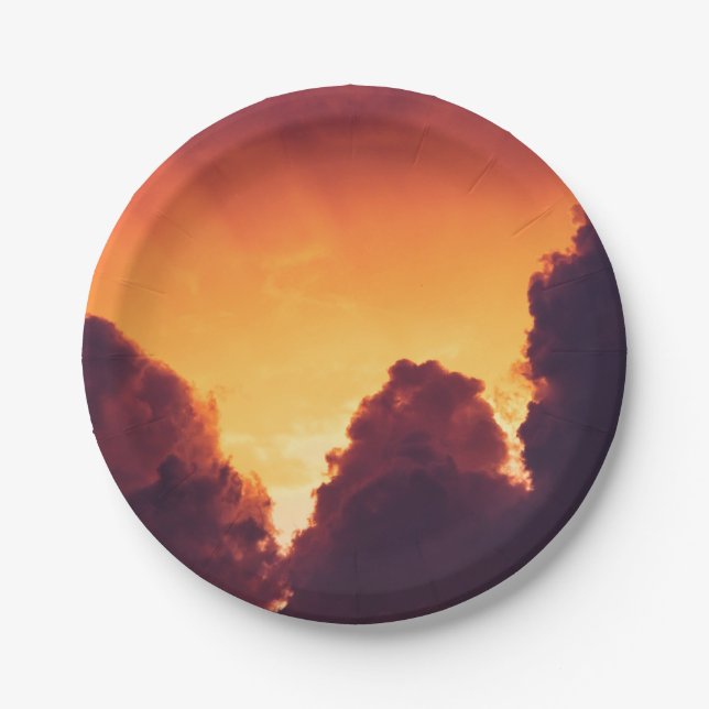 w in weather paper plate (Front)