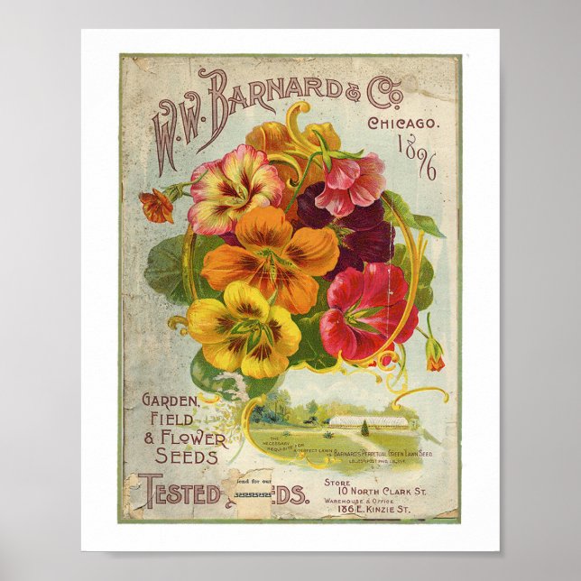 W.W Barnard & Co Garden, Field & Flower Seed 1896 Poster (Front)