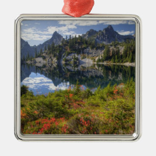 WA, Alpine Lakes Wilderness, Gem Lake, with Metal Tree Decoration