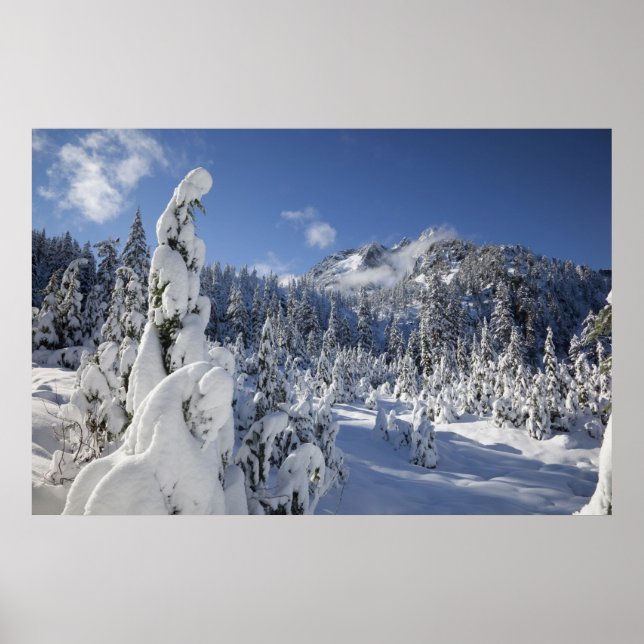 WA, Alpine Lakes Wilderness, Snow Lake basin Poster (Front)