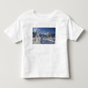 WA, Alpine Lakes Wilderness, Snow Lake basin Toddler T-Shirt