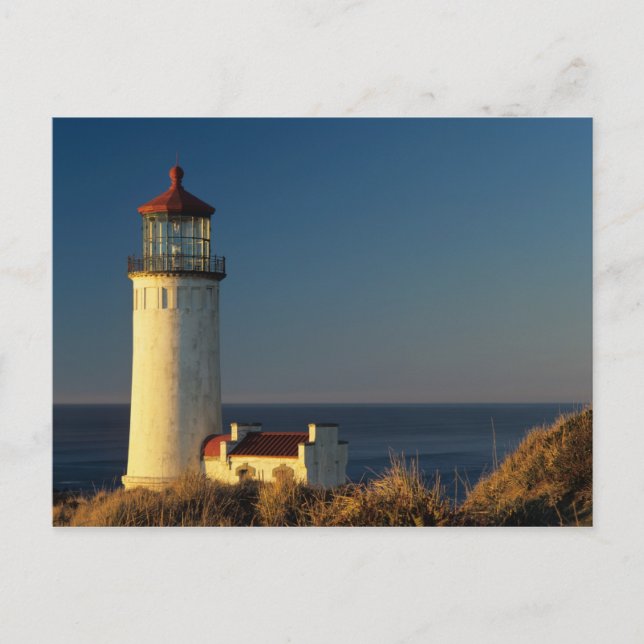 WA, Cape Disappointment State Park, North Head Postcard (Front)