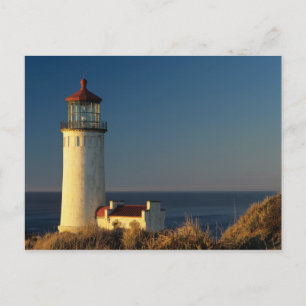 WA, Cape Disappointment State Park, North Head Postcard