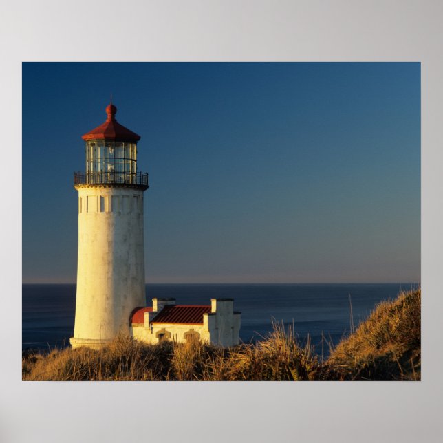 WA, Cape Disappointment State Park, North Head Poster (Front)