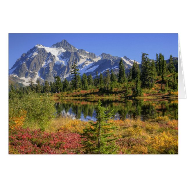 WA, Heather Meadows Recreation Area, Mt. 2 (Front Horizontal)
