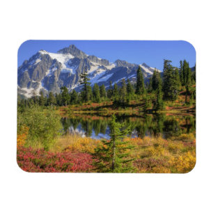 WA, Heather Meadows Recreation Area, Mt. 2 Magnet