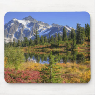 WA, Heather Meadows Recreation Area, Mt. 2 Mouse Mat