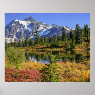 WA, Heather Meadows Recreation Area, Mt. 2 Poster