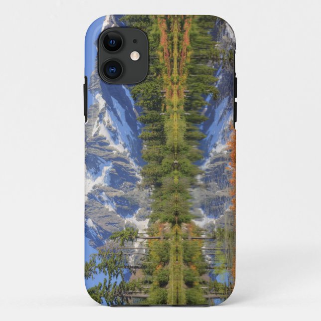 WA, Heather Meadows Recreation Area, Mt. Case-Mate iPhone Case (Back)