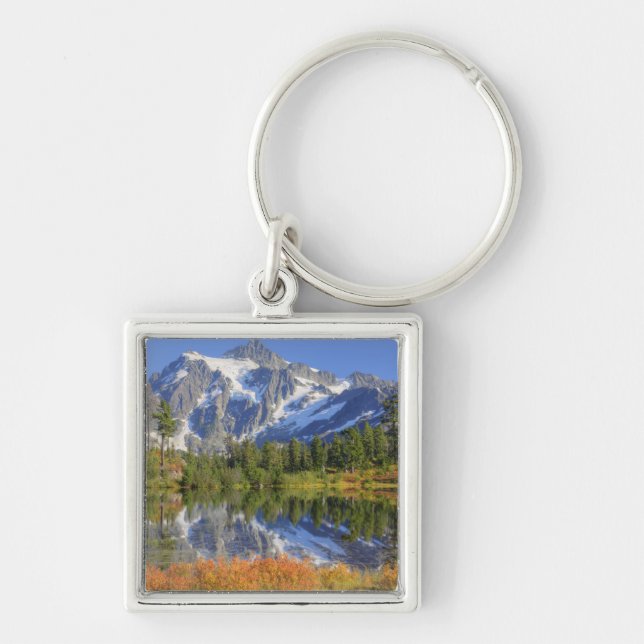 WA, Heather Meadows Recreation Area, Mt. Key Ring (Front)