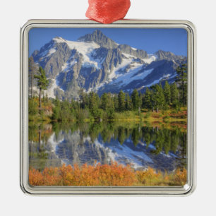 WA, Heather Meadows Recreation Area, Mt. Metal Tree Decoration