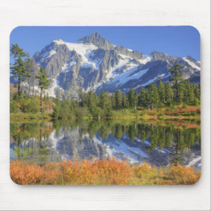 WA, Heather Meadows Recreation Area, Mt. Mouse Mat