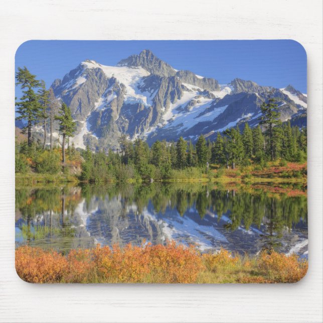 WA, Heather Meadows Recreation Area, Mt. Mouse Mat (Front)