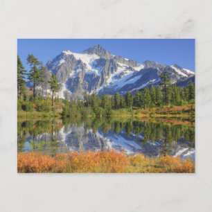 WA, Heather Meadows Recreation Area, Mt. Postcard