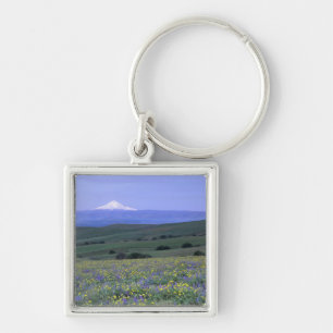 WA, Klickitat County, Dalles Mountain Ranch, Key Ring