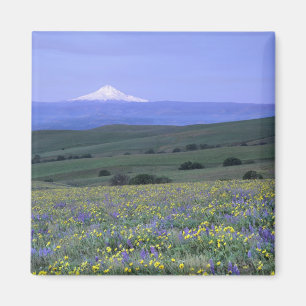 WA, Klickitat County, Dalles Mountain Ranch, Magnet