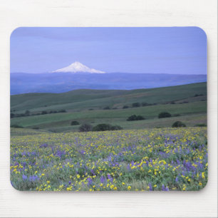 WA, Klickitat County, Dalles Mountain Ranch, Mouse Mat