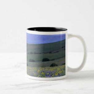 WA, Klickitat County, Dalles Mountain Ranch, Two-Tone Coffee Mug
