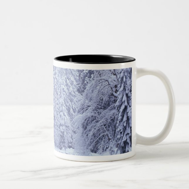WA, Mount Baker-Snoqualmie National Forest, Two-Tone Coffee Mug (Right)