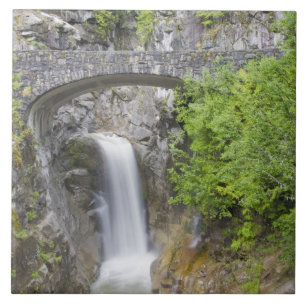 WA, Mount Rainier National Park, Christine Falls Tile