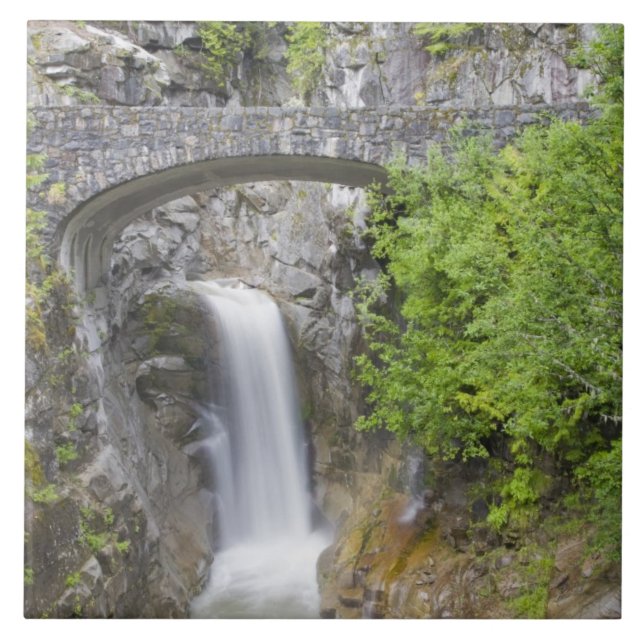 WA, Mount Rainier National Park, Christine Falls Tile (Front)