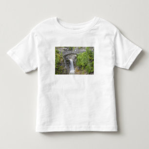 WA, Mount Rainier National Park, Christine Falls Toddler T-Shirt