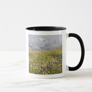 WA, Mt. Baker Wilderness, Mt. Shuksan and Mug
