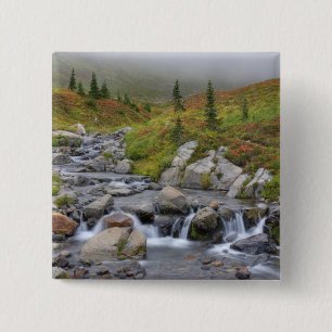 WA, Mt. Rainier National Park, Edith Creek 15 Cm Square Badge