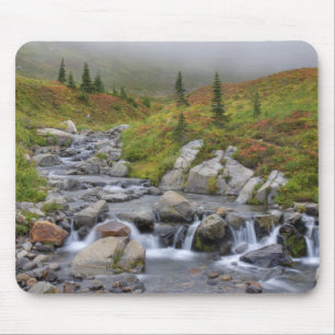 WA, Mt. Rainier National Park, Edith Creek Mouse Mat