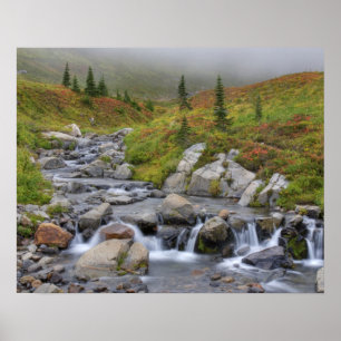 WA, Mt. Rainier National Park, Edith Creek Poster